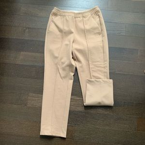 Aritzia Wool Pants